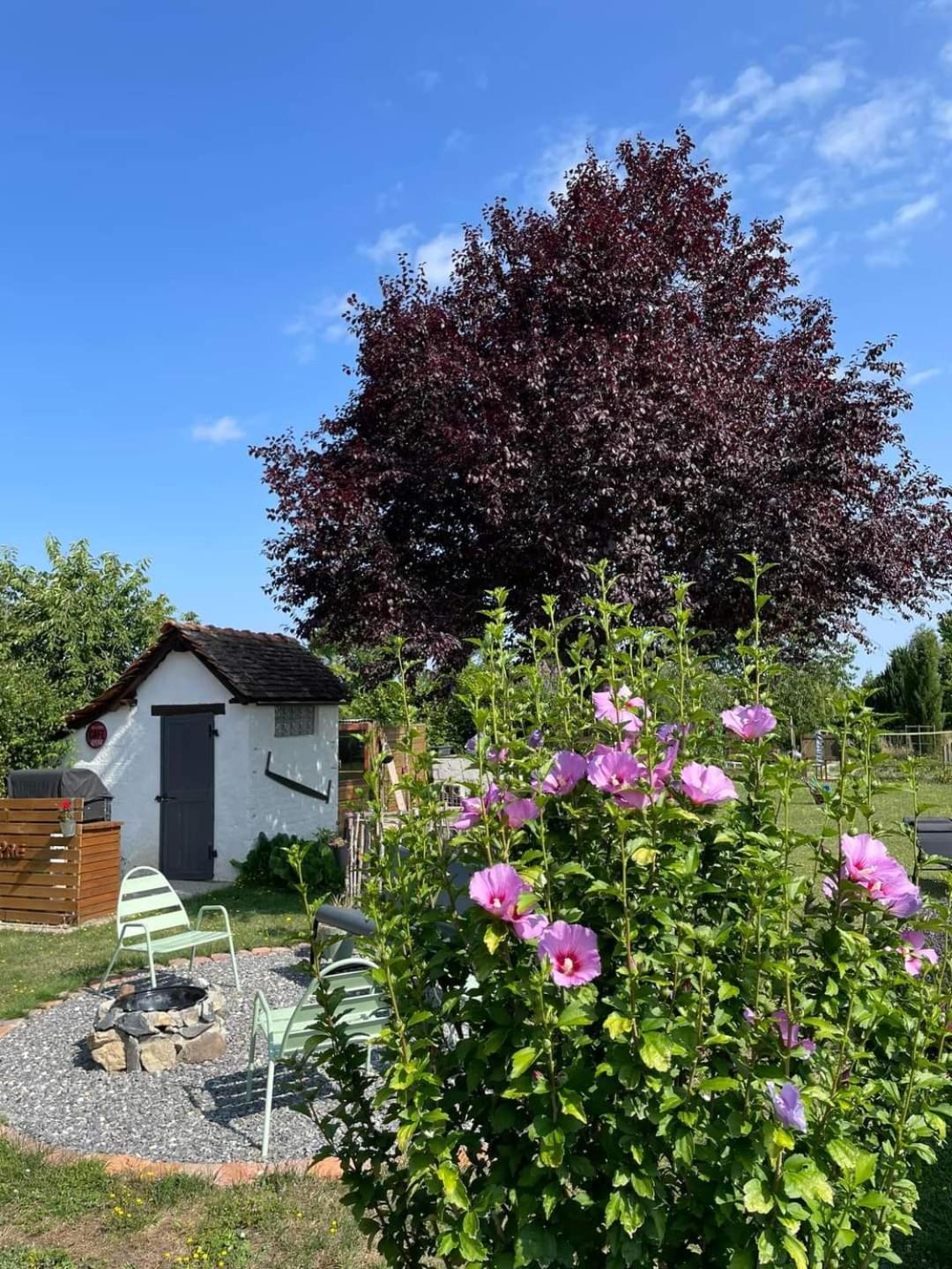 Le Heron Pourpre B&B Gastronomique Cronat Exterior photo