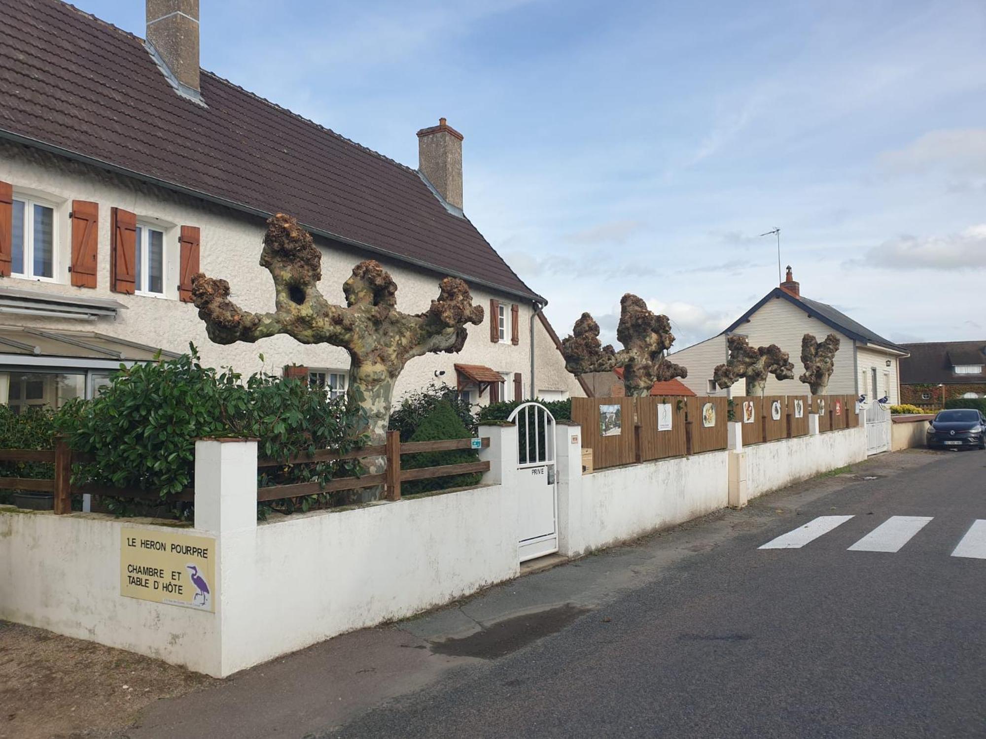 Le Heron Pourpre B&B Gastronomique Cronat Exterior photo